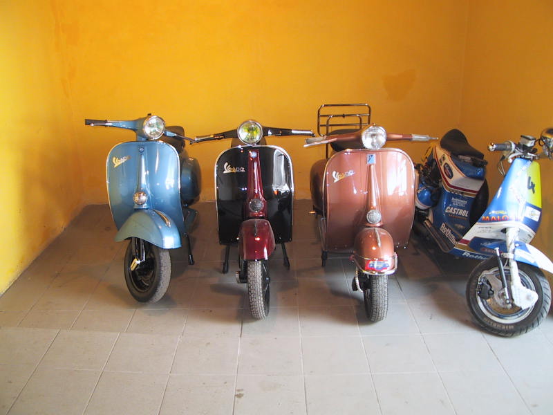 IMG 3783