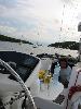 Img 4362