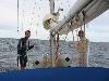 Img 4372 Img 4372