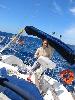 Img 4380