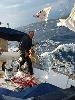Img 4388 Img 4388