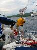 Img 4390