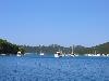 Img 4428 Img 4428