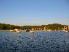 Img 4438