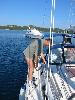 Img 4441