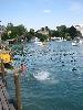 103-0381 IMG