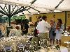 IMG 6085