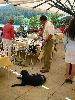 IMG 6095