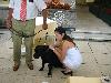 IMG 6123