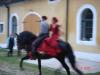 DSC00494 DSC00494