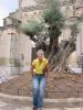 IMG 3058 IMG 3058