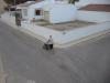 IMG 9055