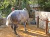 IMG 9082