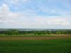 IMG 8779