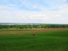IMG 8780