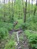 IMG 8791