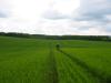 IMG 8796