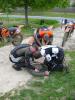 IMG 8806