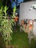 IMG 8832