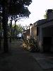 Img 3826