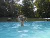 113-1364 img 113-1364 img