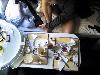 126-2664 IMG