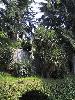 127-2713 IMG