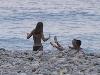 128-2802 IMG 128-2802 IMG