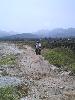 129-2911 IMG 129-2911 IMG