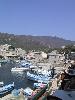 129-2924 IMG 129-2924 IMG