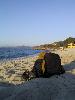 129-2975 IMG 129-2975 IMG