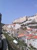 130-3061 IMG 130-3061 IMG
