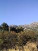 130-3095 IMG 130-3095 IMG