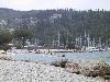 131-3171 IMG 131-3171 IMG