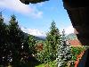 Img 4220