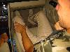 Img 4586