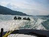 Img 4624