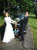 Img 4151