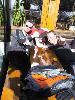 Img 3670 Img 3670