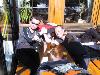 Img 3671