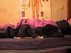 Img 3688
