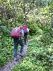 Img 4672