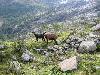 Img 4682