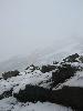 Img 4686