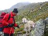 Img 4693