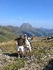 Img 4701
