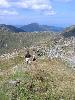 Img 4702