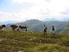 Img 4704