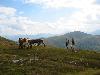 Img 4705