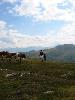 Img 4706
